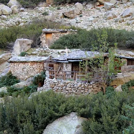 Apartment Les Bougainvilliers