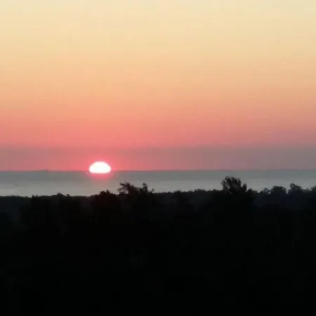 Les Bougainvilliers * Penta di Casinca