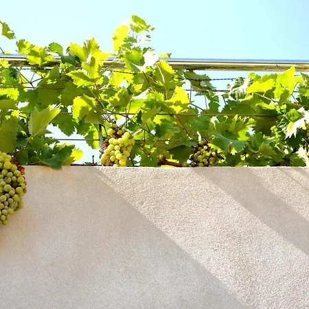 Apartment Les Bougainvilliers *
