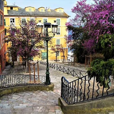 Les Bougainvilliers