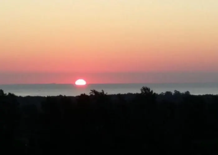 Les Bougainvilliers * Penta di Casinca