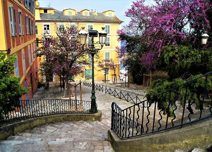 Les Bougainvilliers