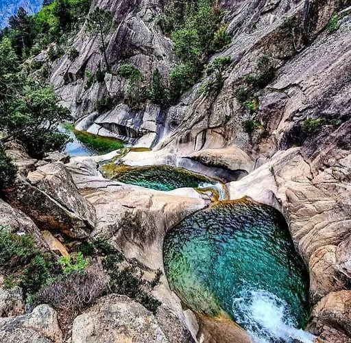 Les Bougainvilliers Appartement
